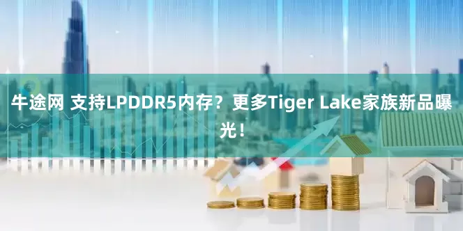 牛途网 支持LPDDR5内存？更多Tiger Lake家族新品曝光！