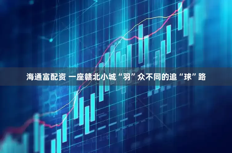 海通富配资 一座赣北小城“羽”众不同的追“球”路