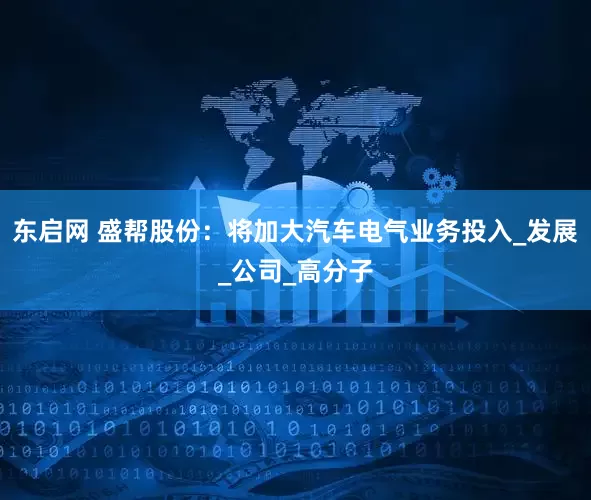 东启网 盛帮股份：将加大汽车电气业务投入_发展_公司_高分子