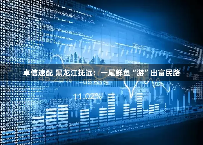 卓信速配 黑龙江抚远：一尾鲜鱼“游”出富民路