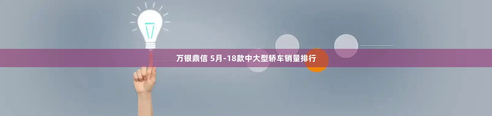 万银鼎信 5月-18款中大型轿车销量排行