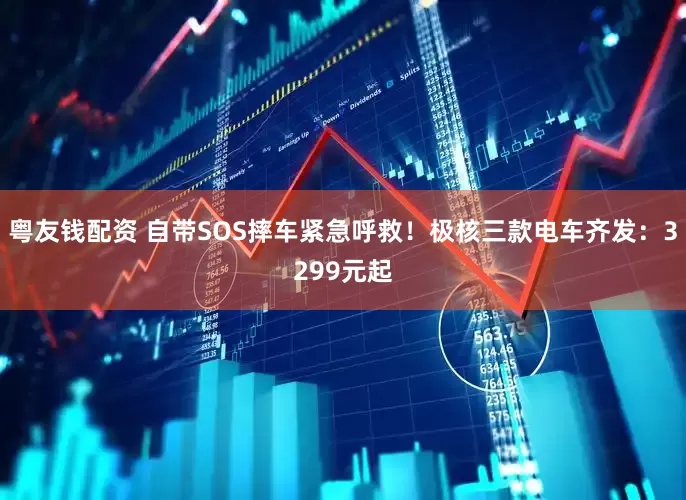 粤友钱配资 自带SOS摔车紧急呼救！极核三款电车齐发：3299元起